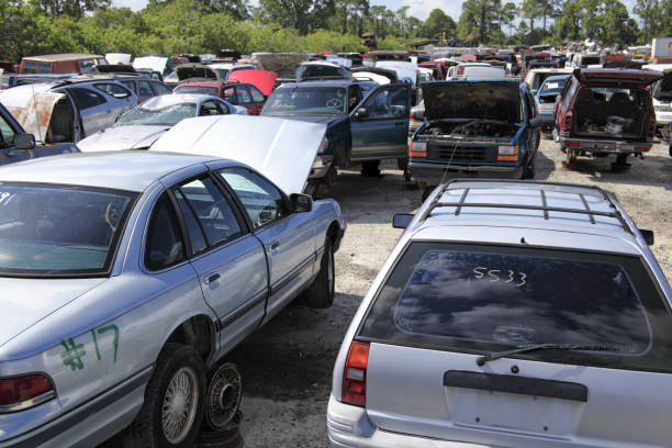 Desguace de coches con vehículos usados a la espera de ser vendidos o desguazados